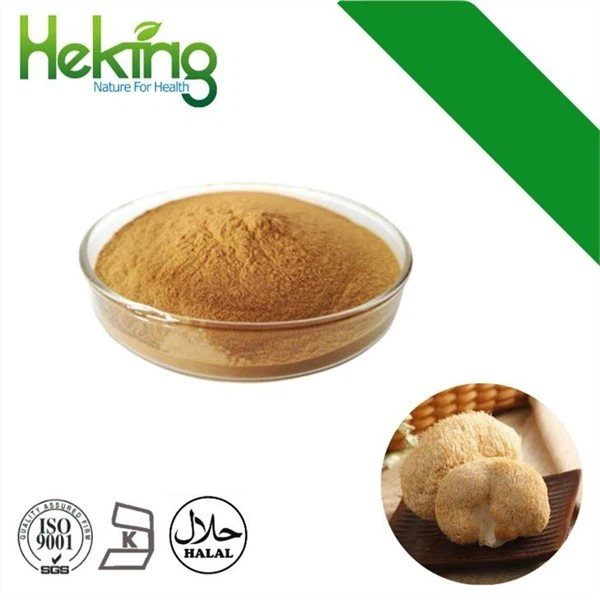 Løvemanke-soppekstrakt